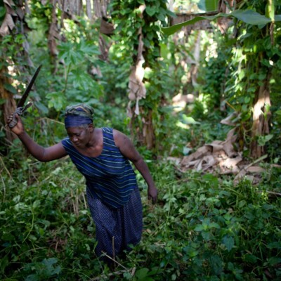 Agroecological woman farmer in Haiti
