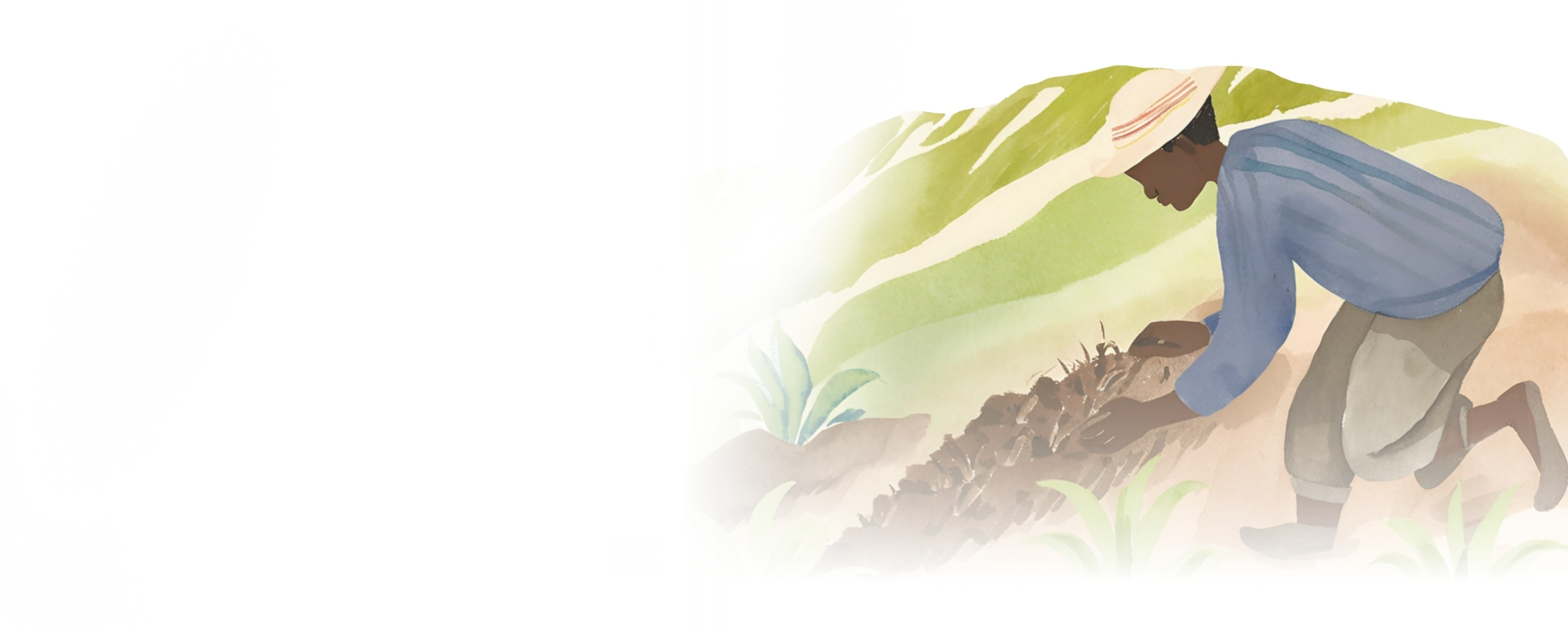 Illustration of a farmer seeding the soil