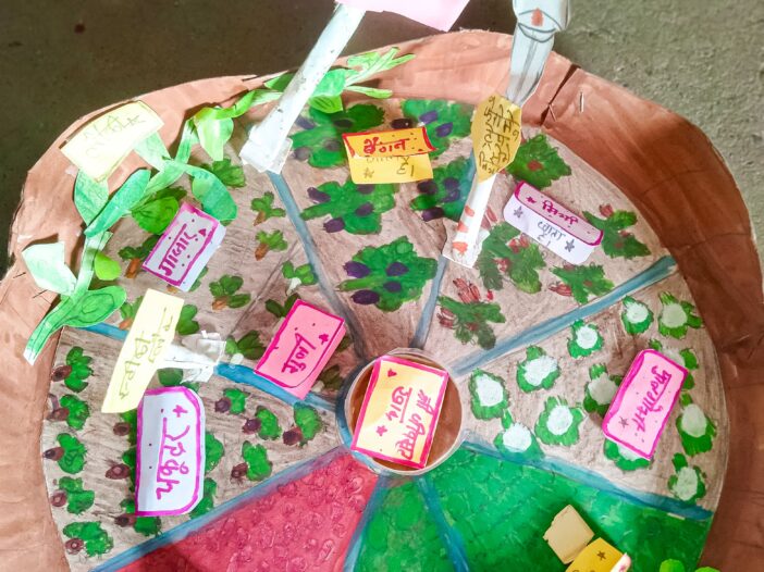 Mapping the school kitchen garden