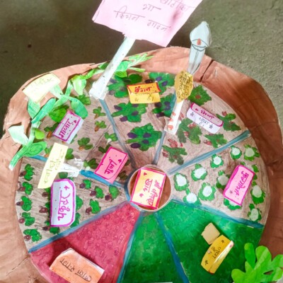 Mapping the school kitchen garden