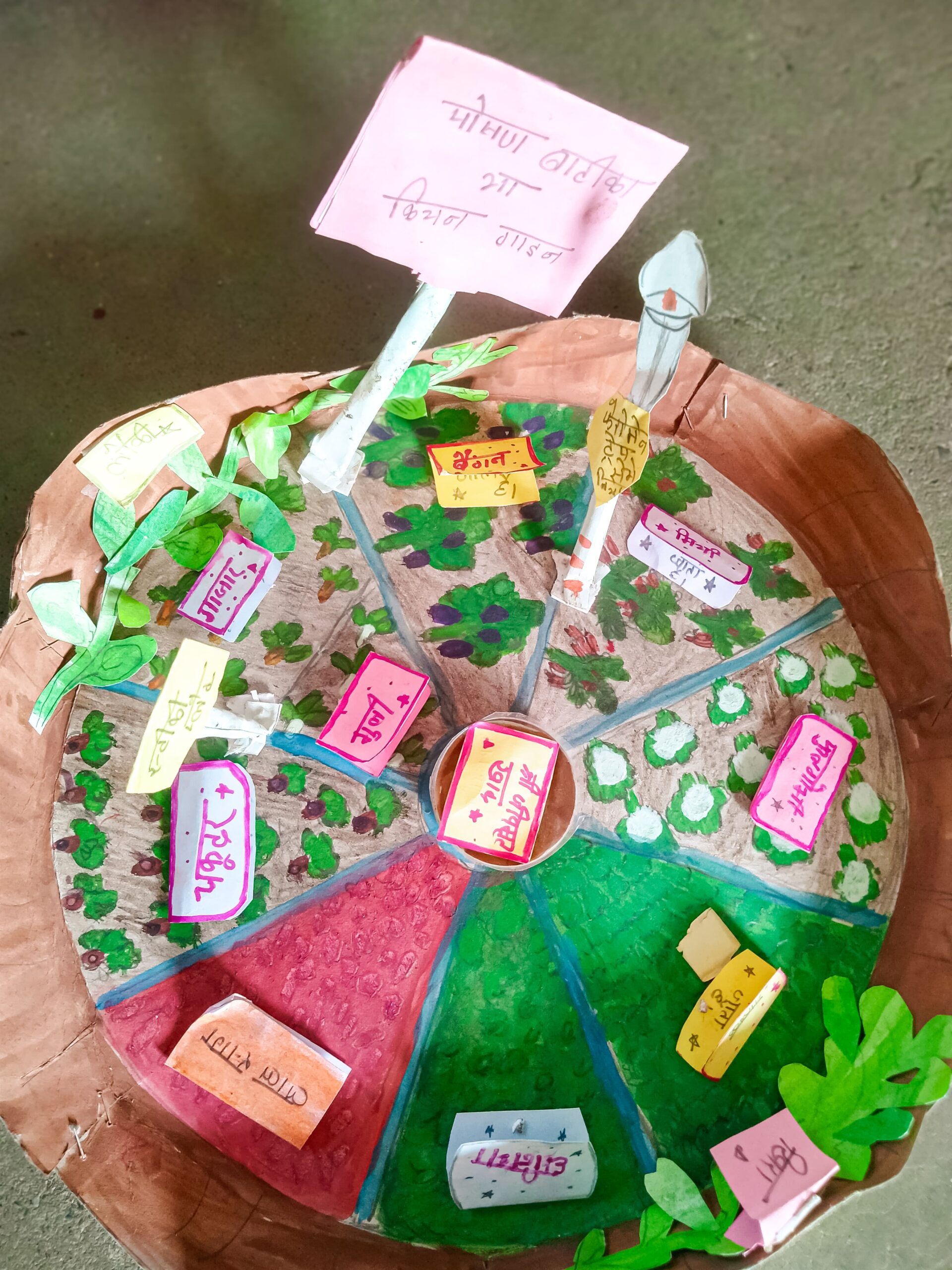 Mapping the school kitchen garden 