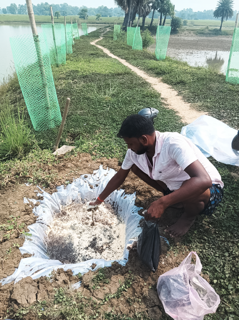 Applying biofertilizers to revive ahar-pyne water harvesting systems in Bihar India