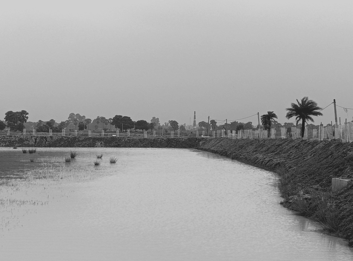 An ahar reservoir in Bihar India