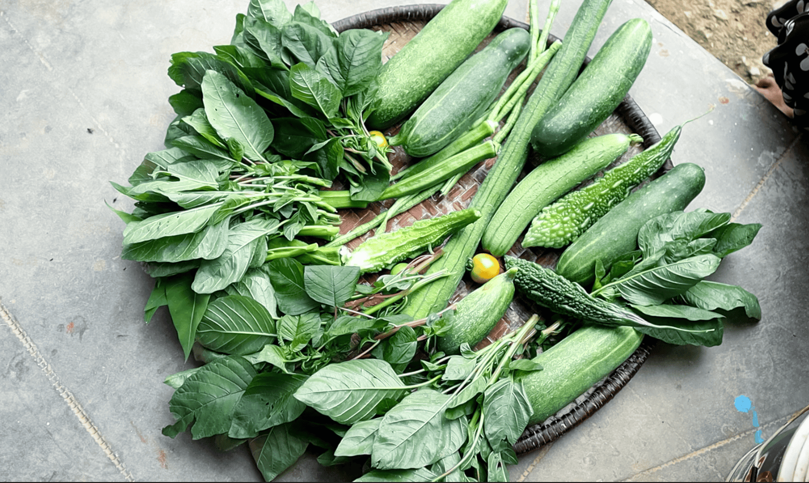 Fresh vegetables from the school kitchen garden