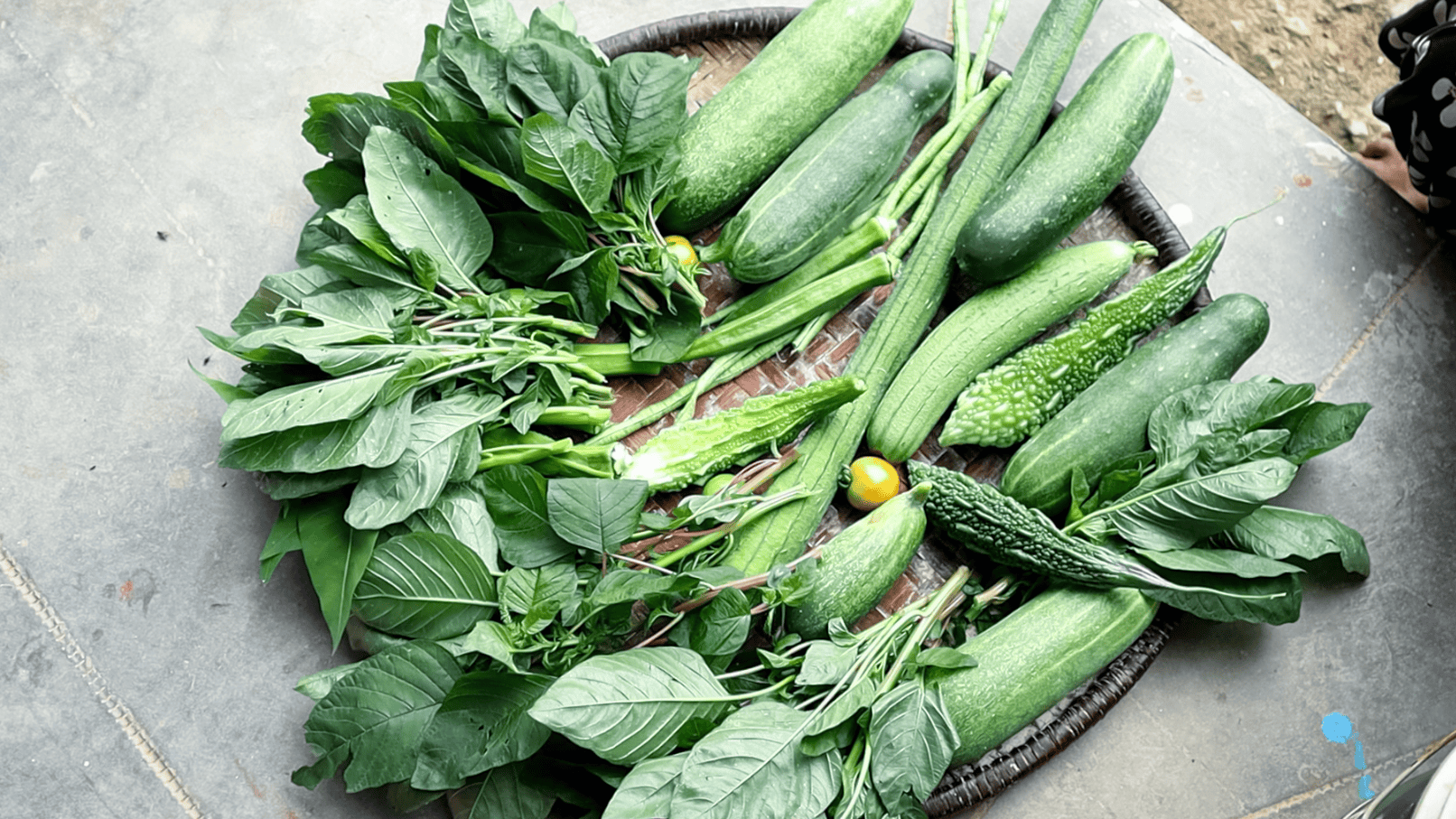 Fresh vegetables from the school kitchen garden