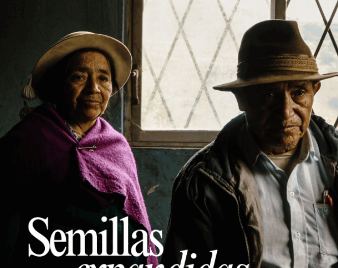 Exploraciones sobre mercados locales en América Latina