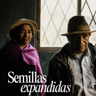 Exploraciones sobre mercados locales en América Latina