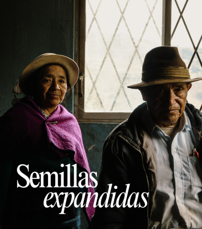 Exploraciones sobre mercados locales en América Latina