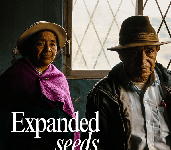 Exploring local agroecological market dynamics in Latin America & the Caribbean