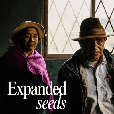 Exploring local agroecological market dynamics in Latin America & the Caribbean