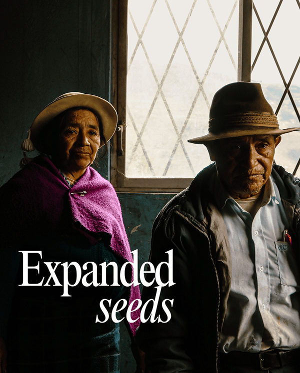 Exploring local agroecological market dynamics in Latin America & the Caribbean