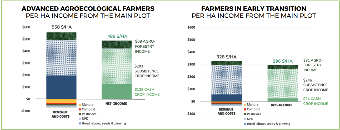 Revenues, costs and net income for advanced agroecological and farmers in early transition