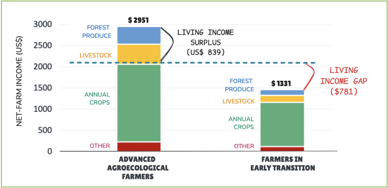 Total household income and living income surplus/gap for advanced agroecological farmers and
farmers in early transition