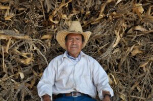 El silencio de la tierra, Mexico
