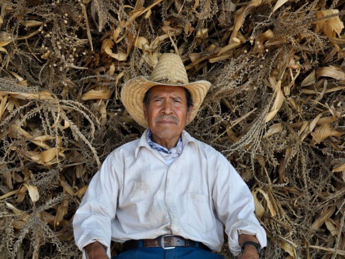 El silencio de la tierra, Mexico