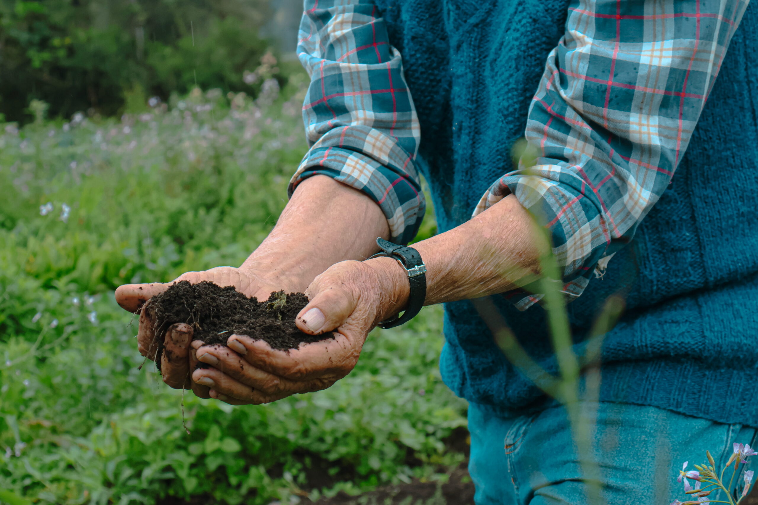 Pacho Gangotena holding black fertile soil