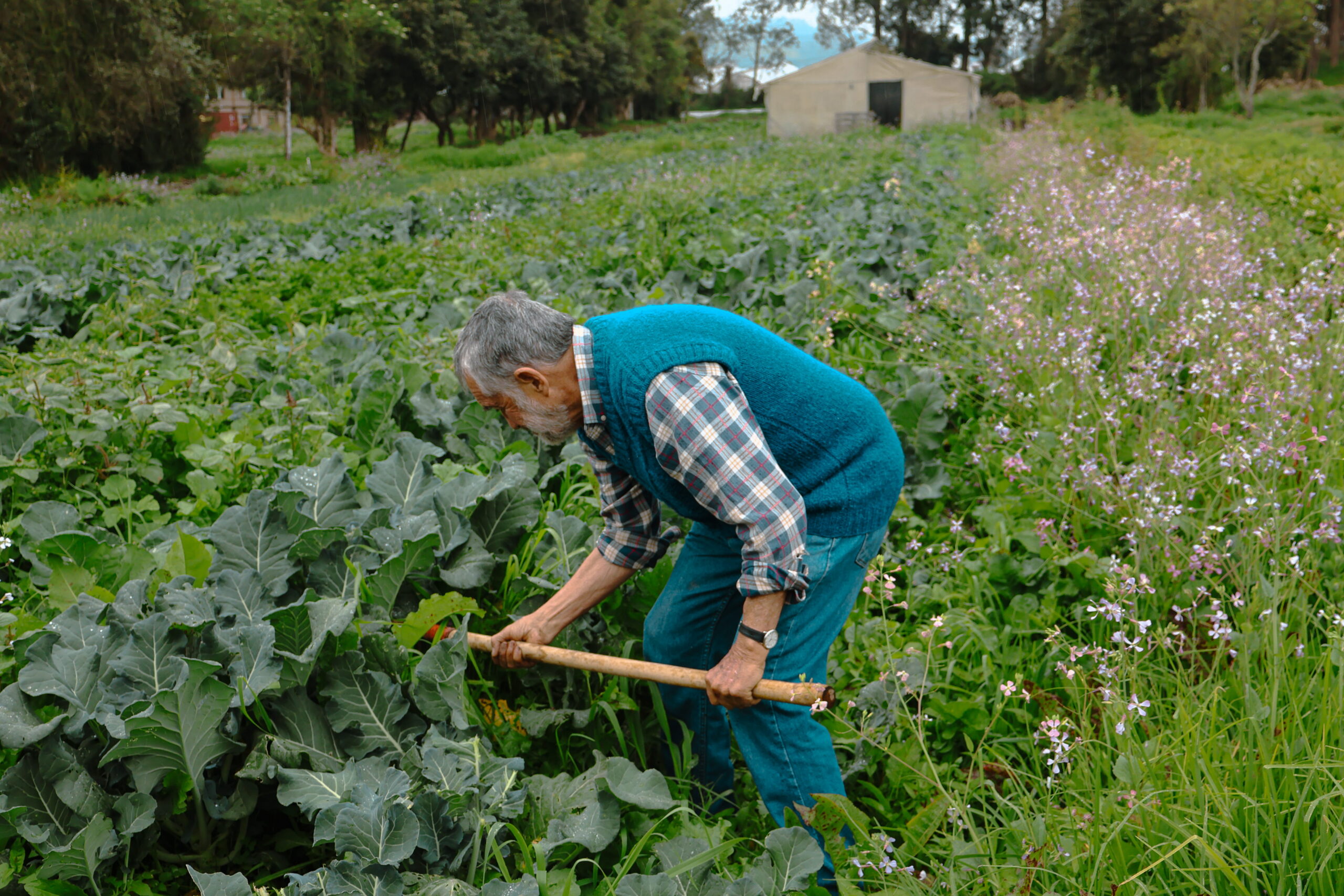 Pacho Gangotena in his agroecological farm, Chaupi Molino, Ecuador