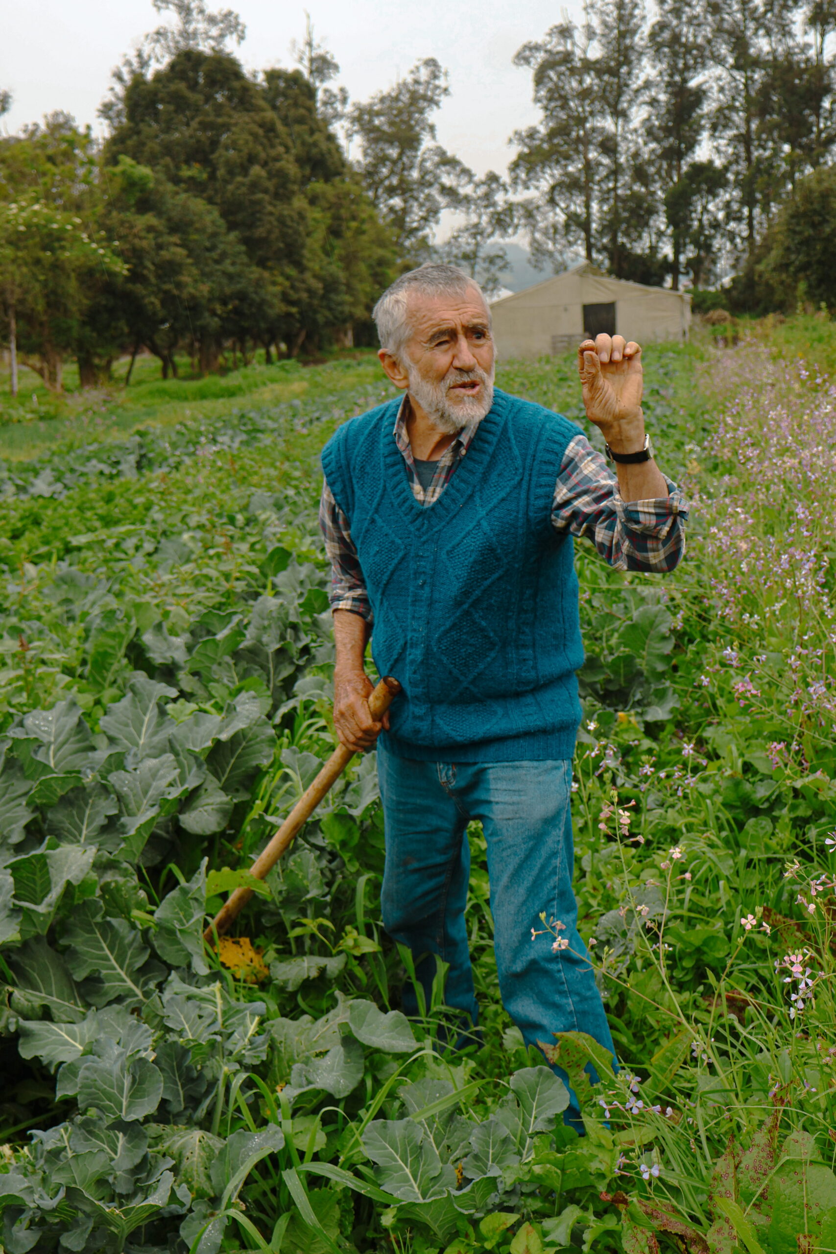 Pacho Gangotena, Finca Chaupi Molino