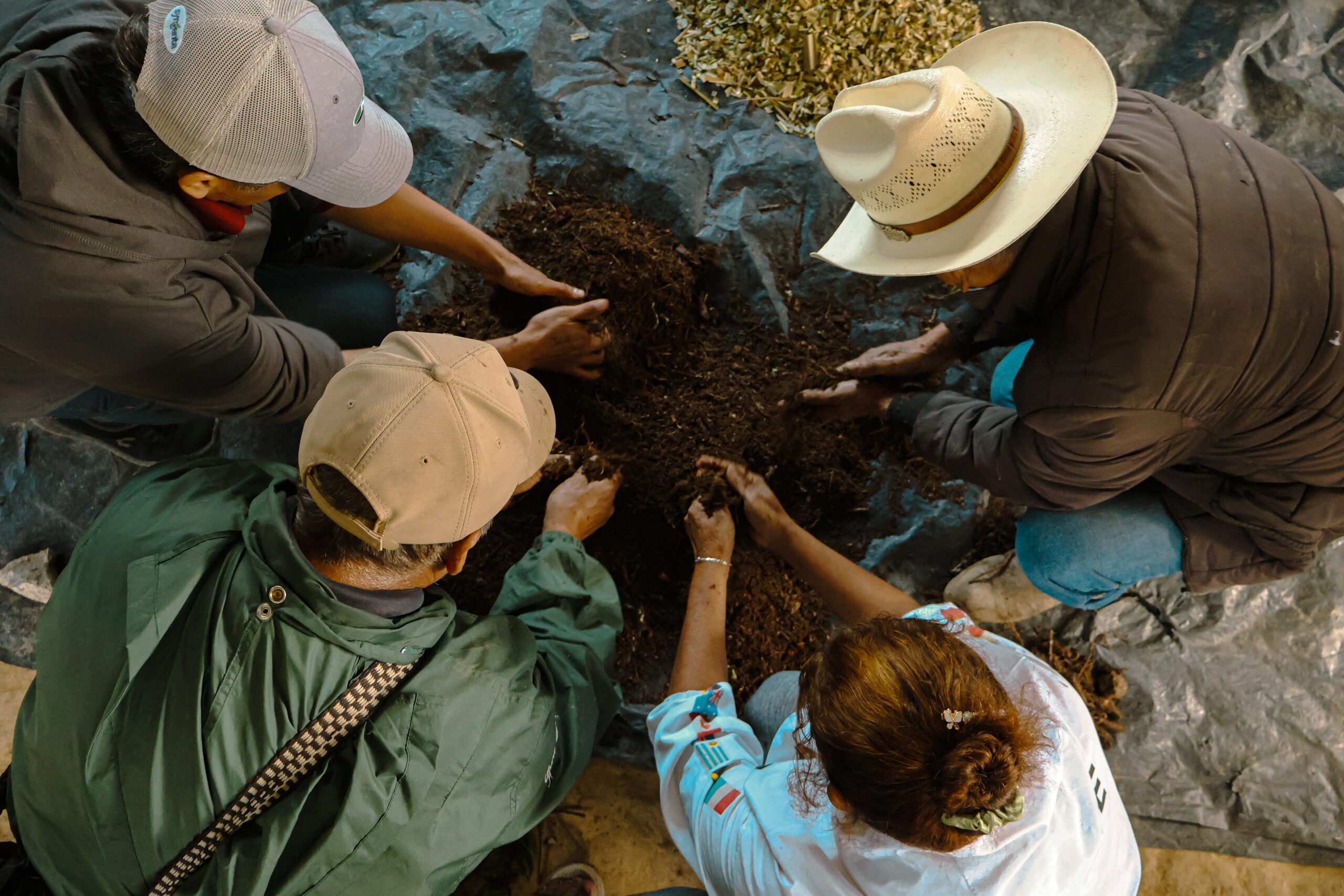 Strengthening Food Sovereignty and Climate Resilience in Guatemala and Honduras