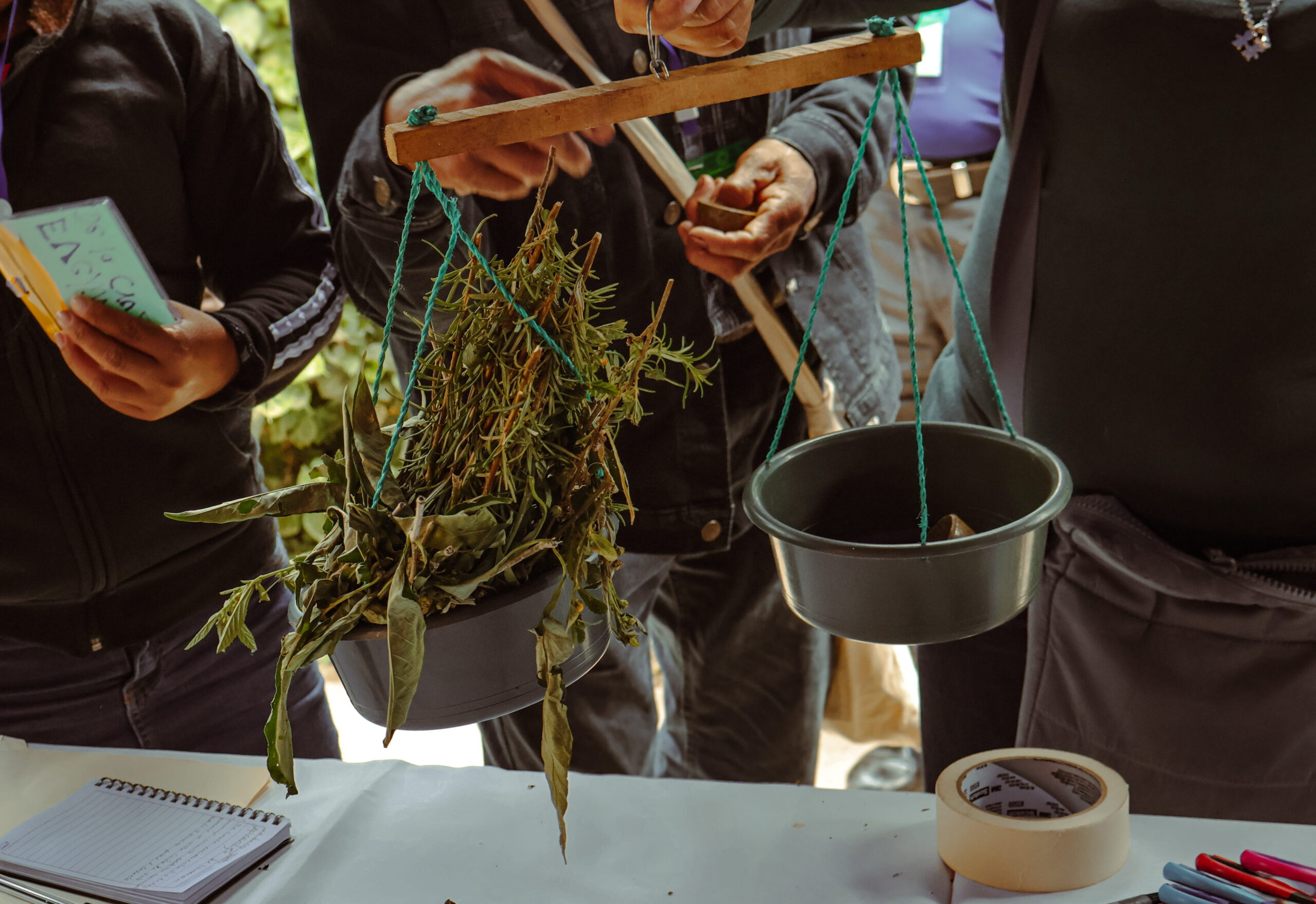 Agroecology for a resilient future in Guatemala and Honduras: the Rejuvenate program