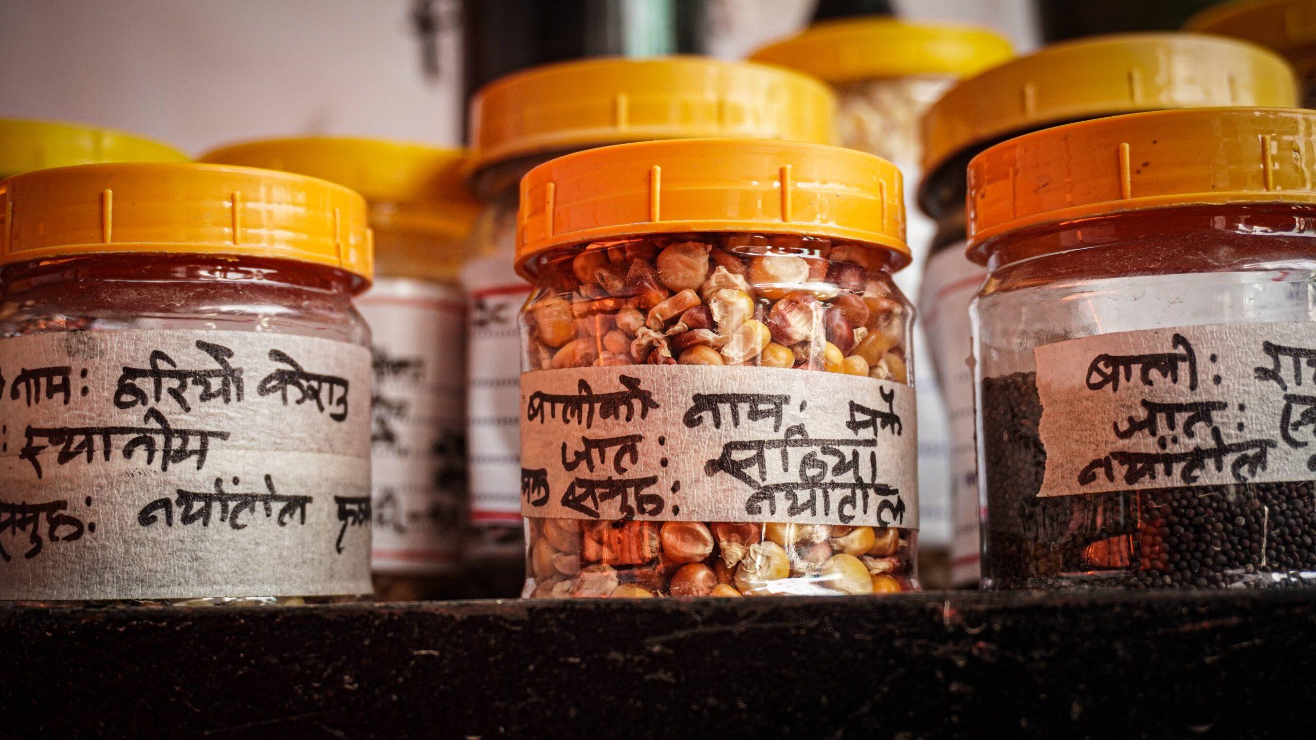 Native seed conservation in Nepal led by women's groups