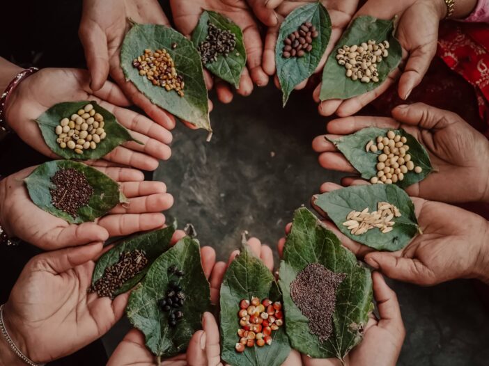 Native seed conservation in Nepal