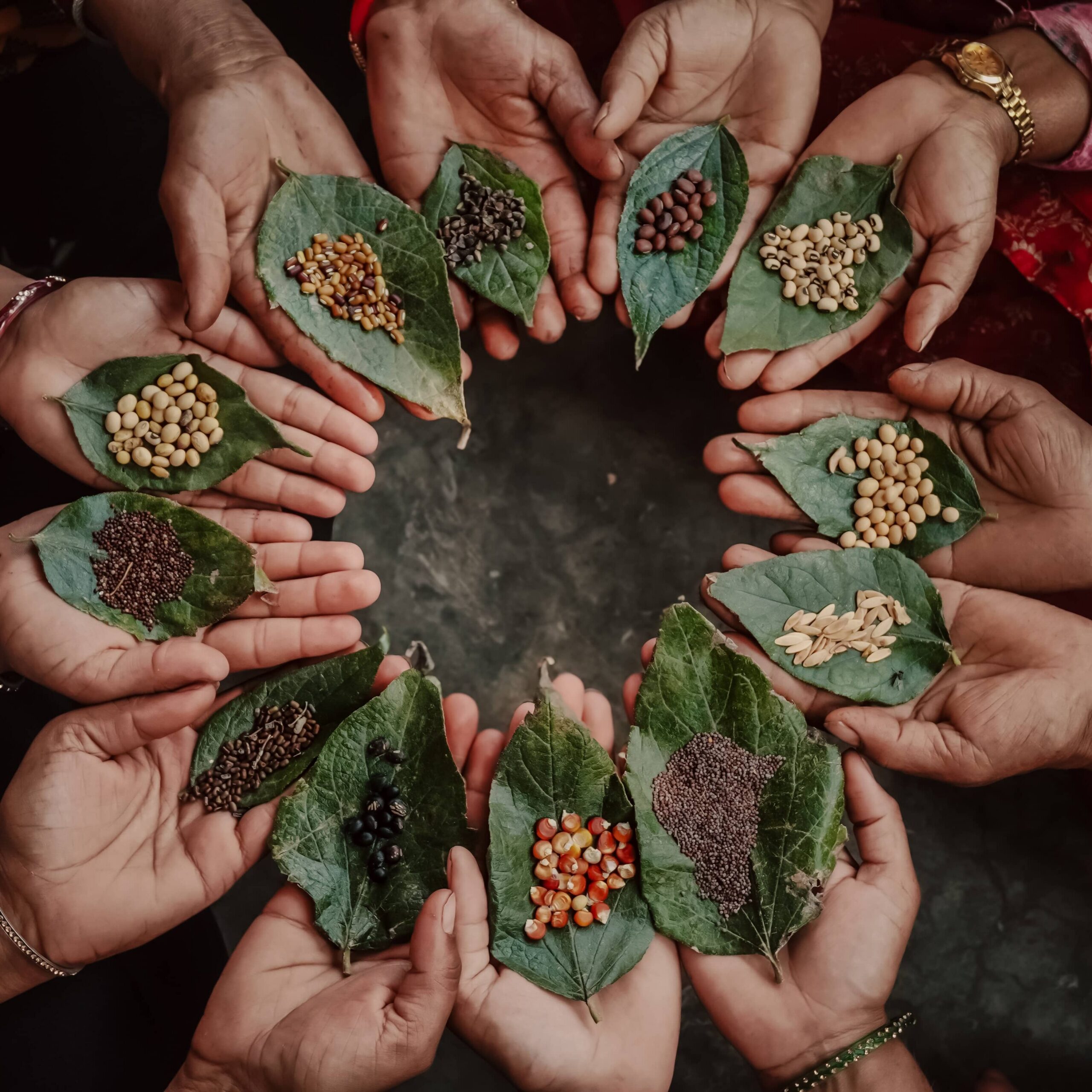 Native seed conservation in Nepal