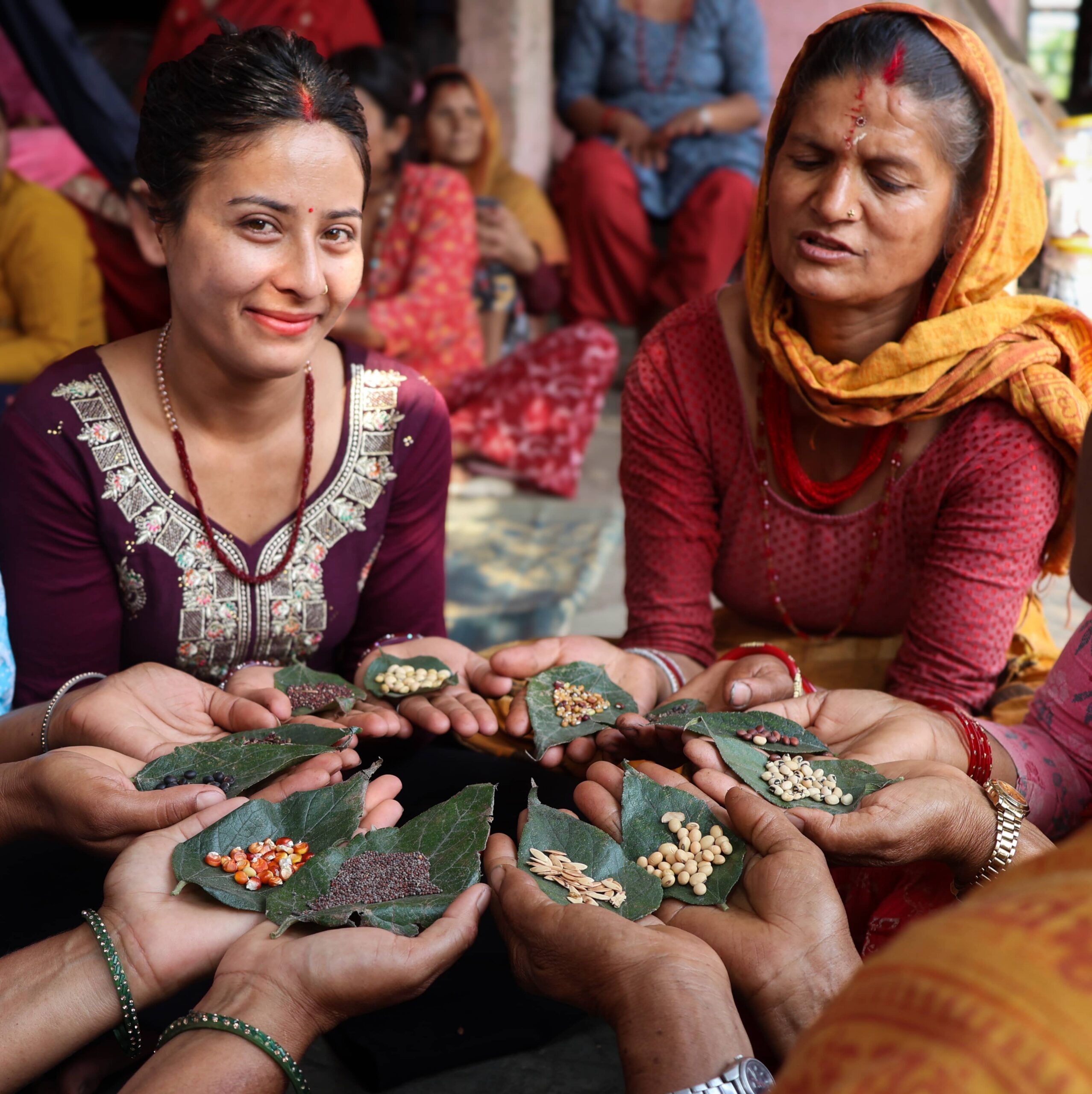Women farmers in Nepal saving local seeds