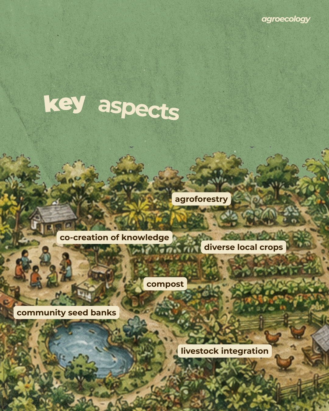 key aspects of an agroecological farm drawing and layout
