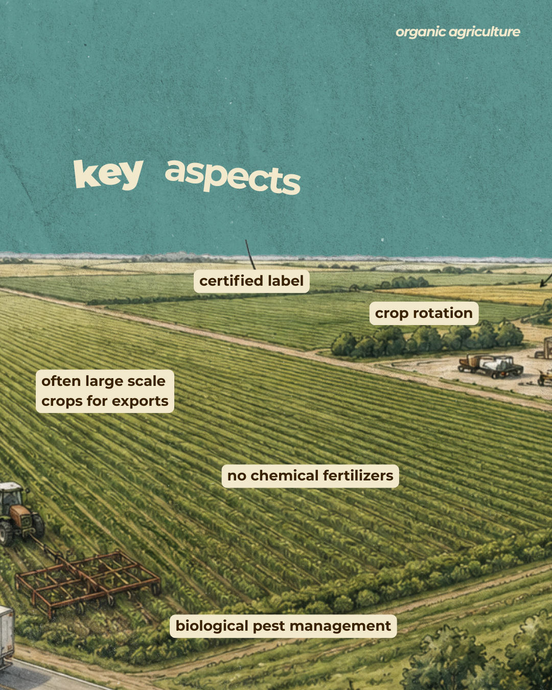 organic agriculture farm layout: key aspects of an organic farm drawing