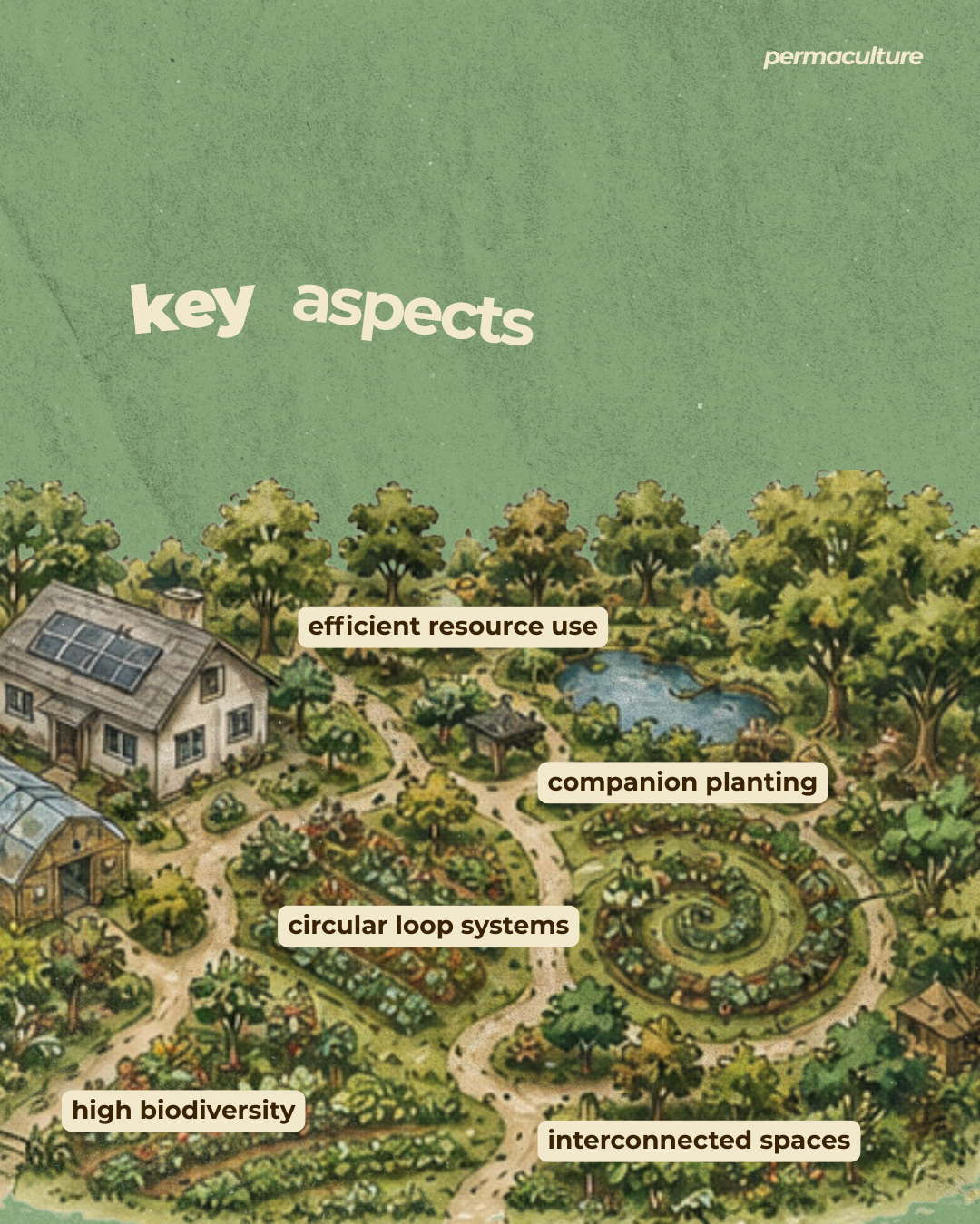 Permaculture farm layout design and drawing: key elements