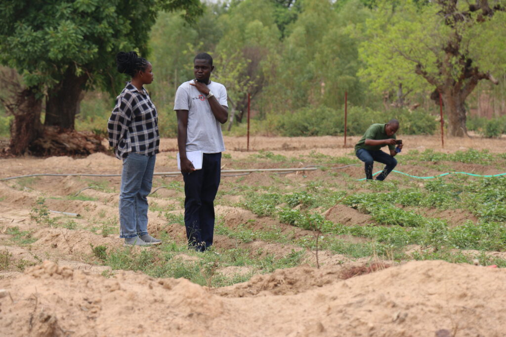 Youth caravan agroecology in West Africa