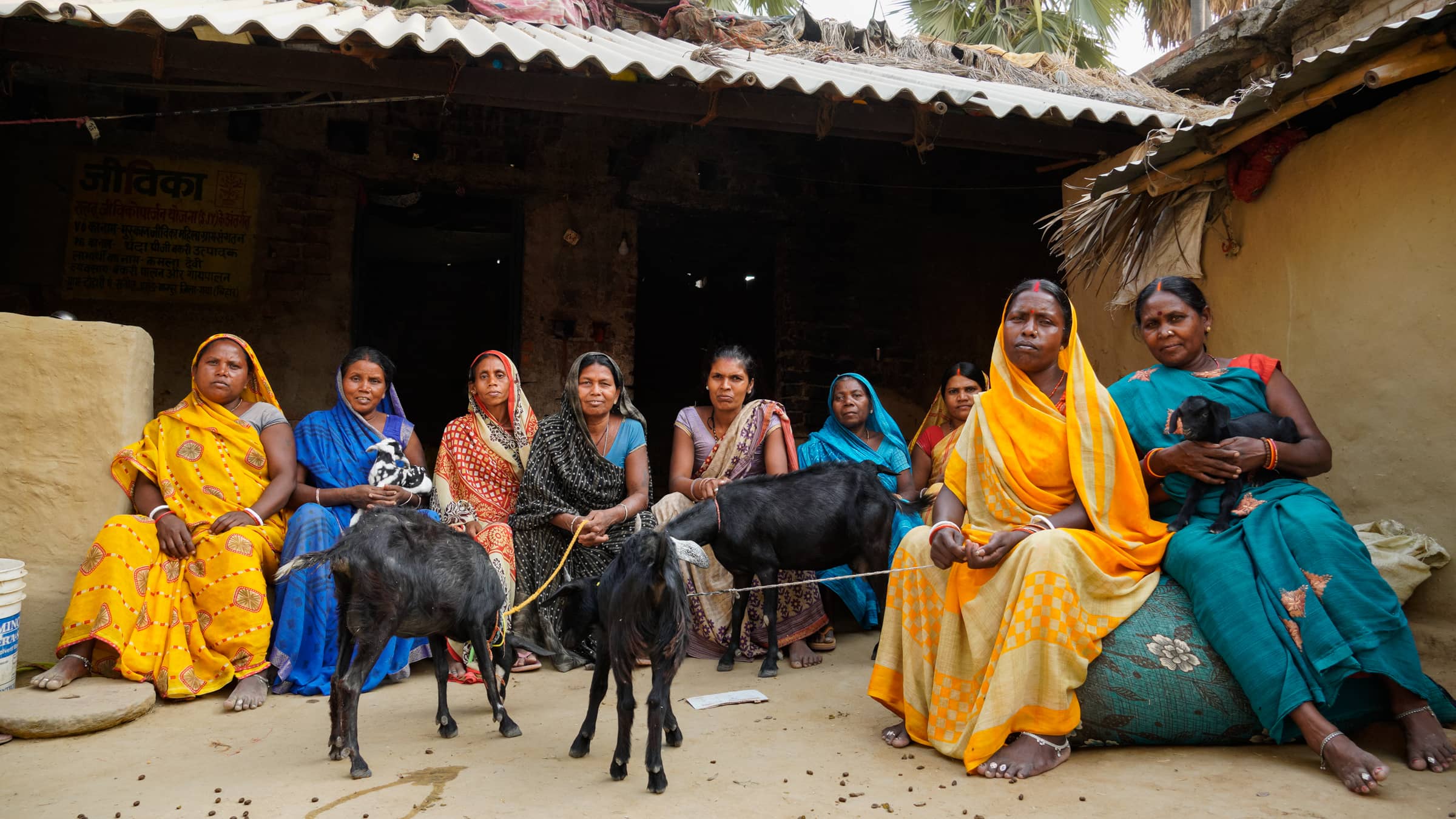 Dohari, Scheduled Caste, India (Bihar)