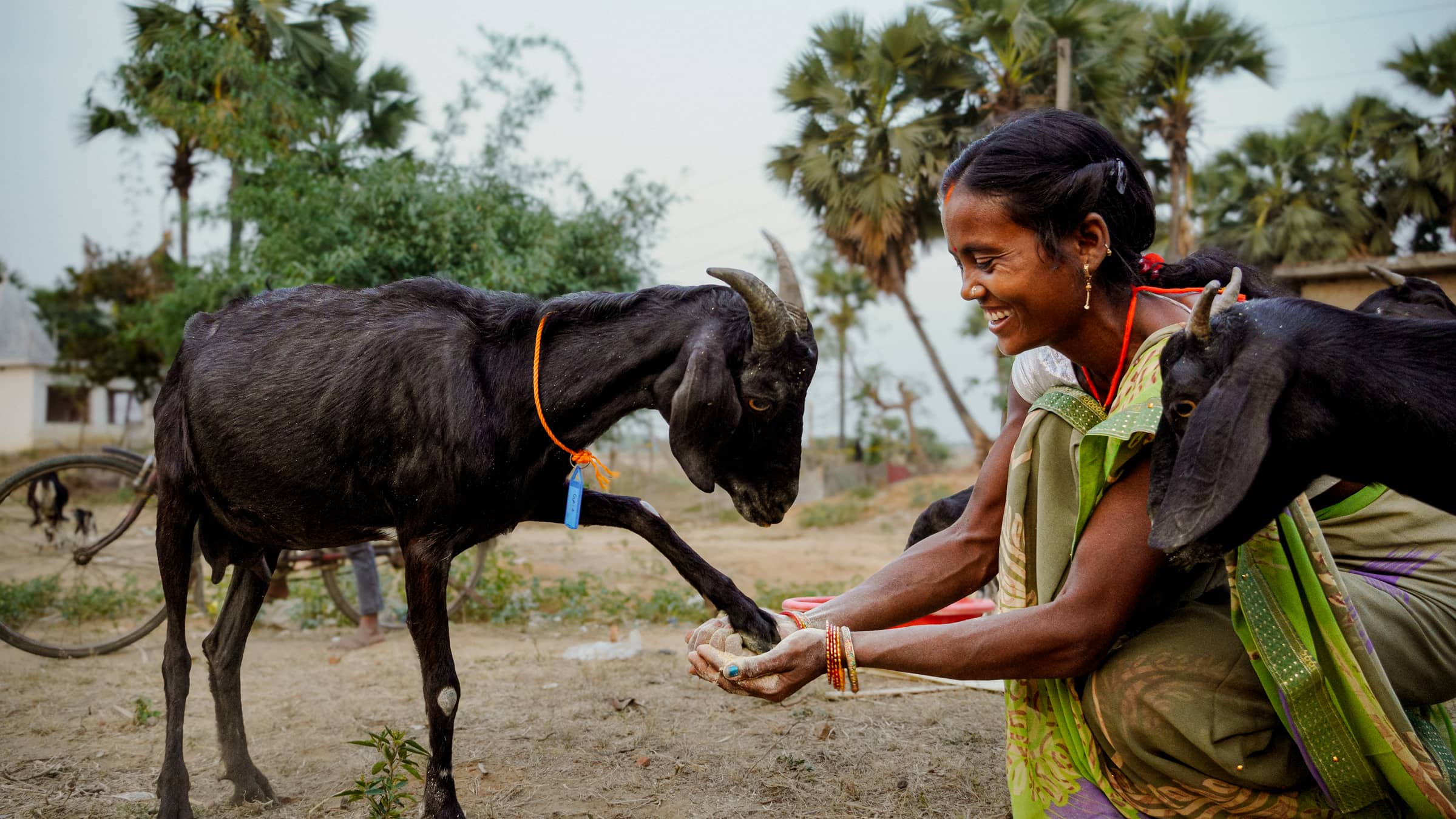 Sumanti and her goat, Pashu Sakhi, Dohari, Bihar, India