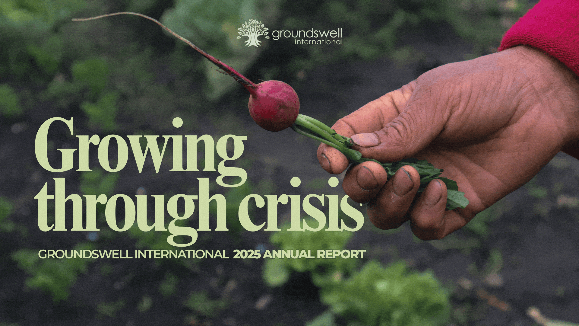 Groundswell International 2025 Annual Report